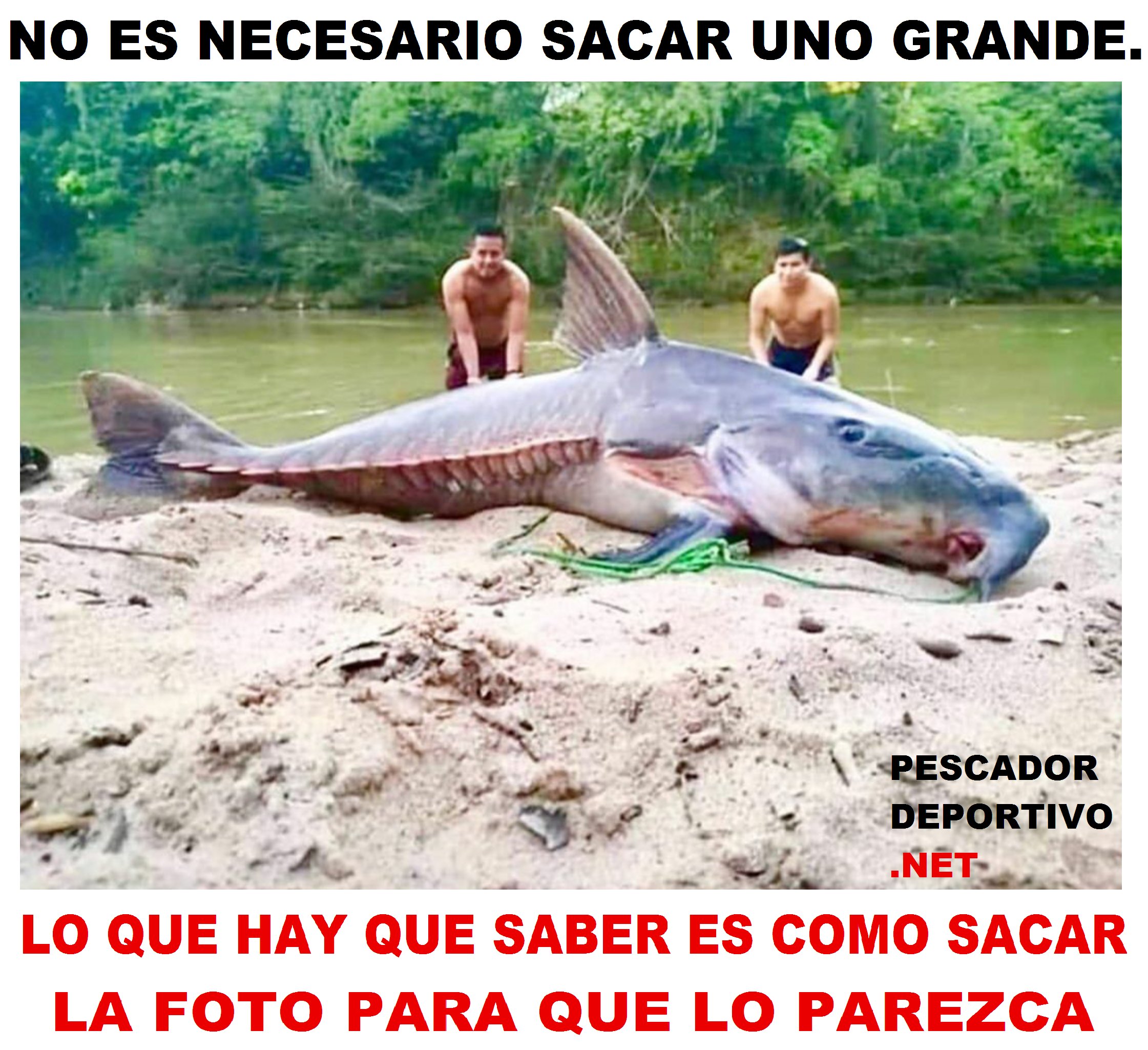 foto del grande7545444780464219343..png