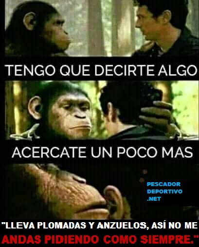 lleva plomadas y anzuelos7697948045396544753..jpg