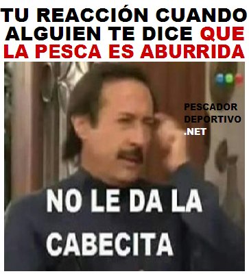 no le da la cabecita1647557019955893086..png