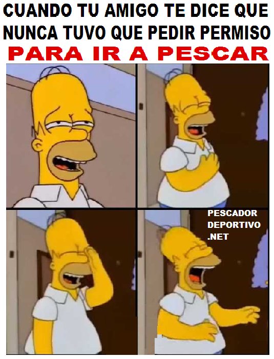 nunca pidio permiso6387420200662556012..png