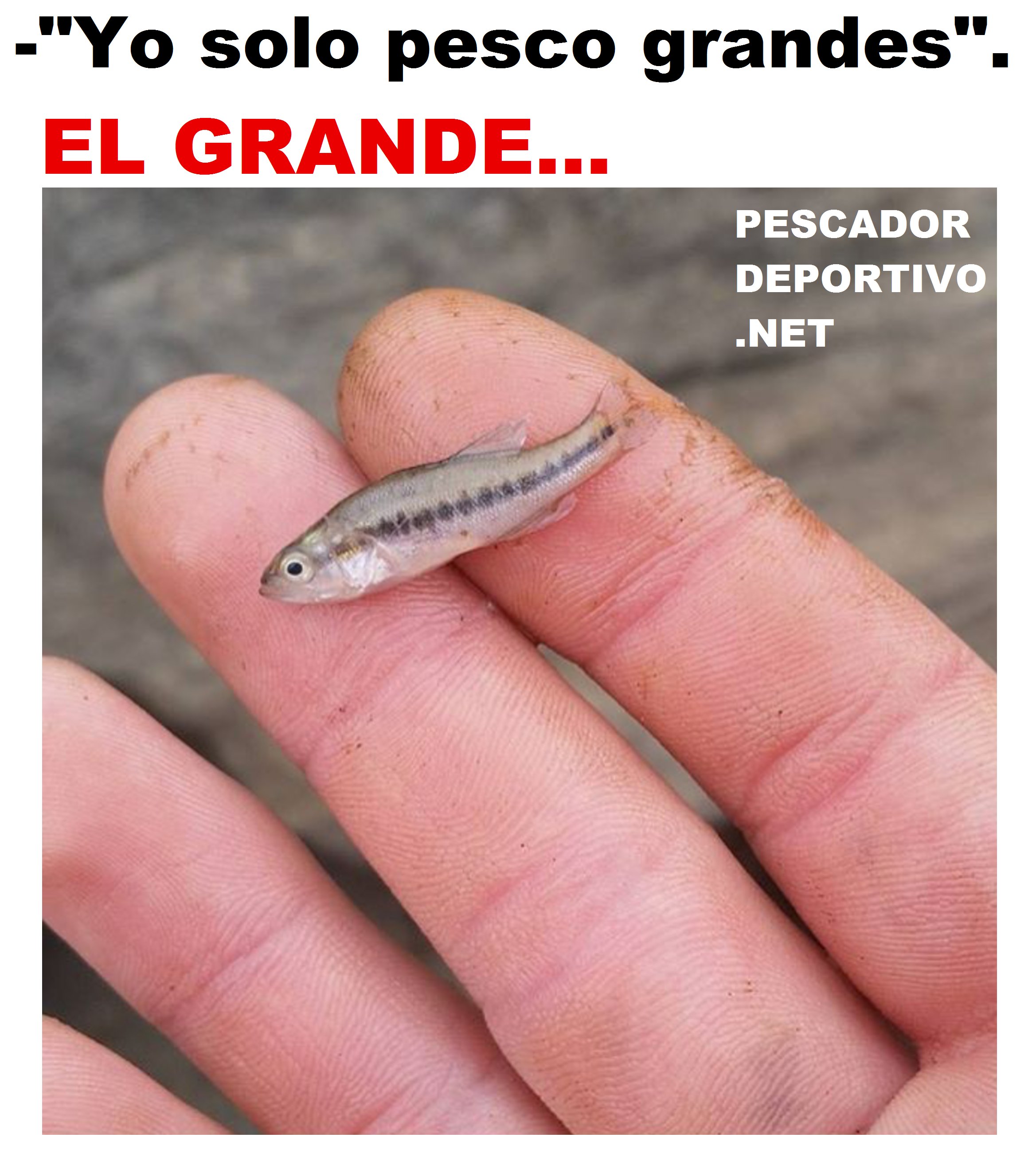 pesco grandes2806428233444297766..png