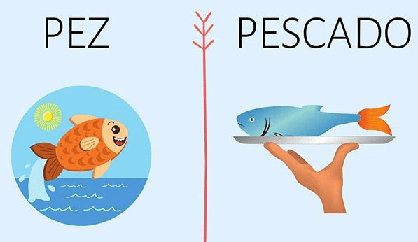 Pez o Pescado