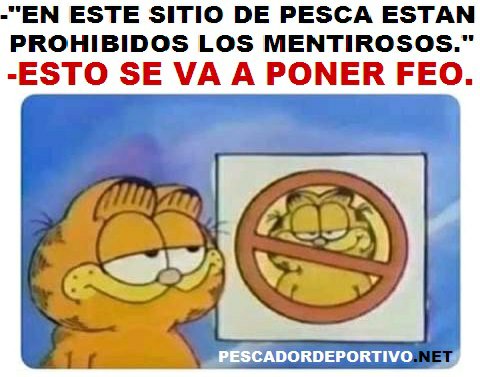 prohibidos los mentirosos304223921627322037..jpg