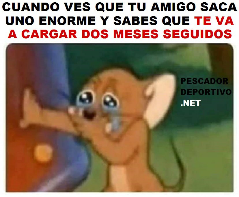 saca enorme1211533272728280583..jpg