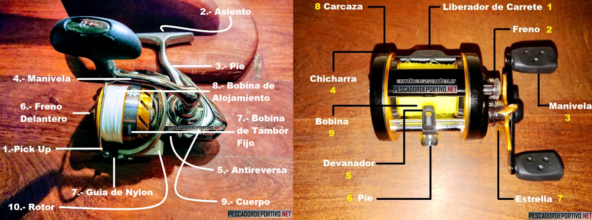 ¿Qué es el Gear Ratio o Ratio de Recuperación de un Reel? – PESCADOR