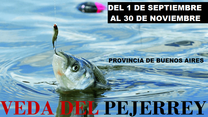 Veda del Pejerrey en la Provincia de Buenos Aires