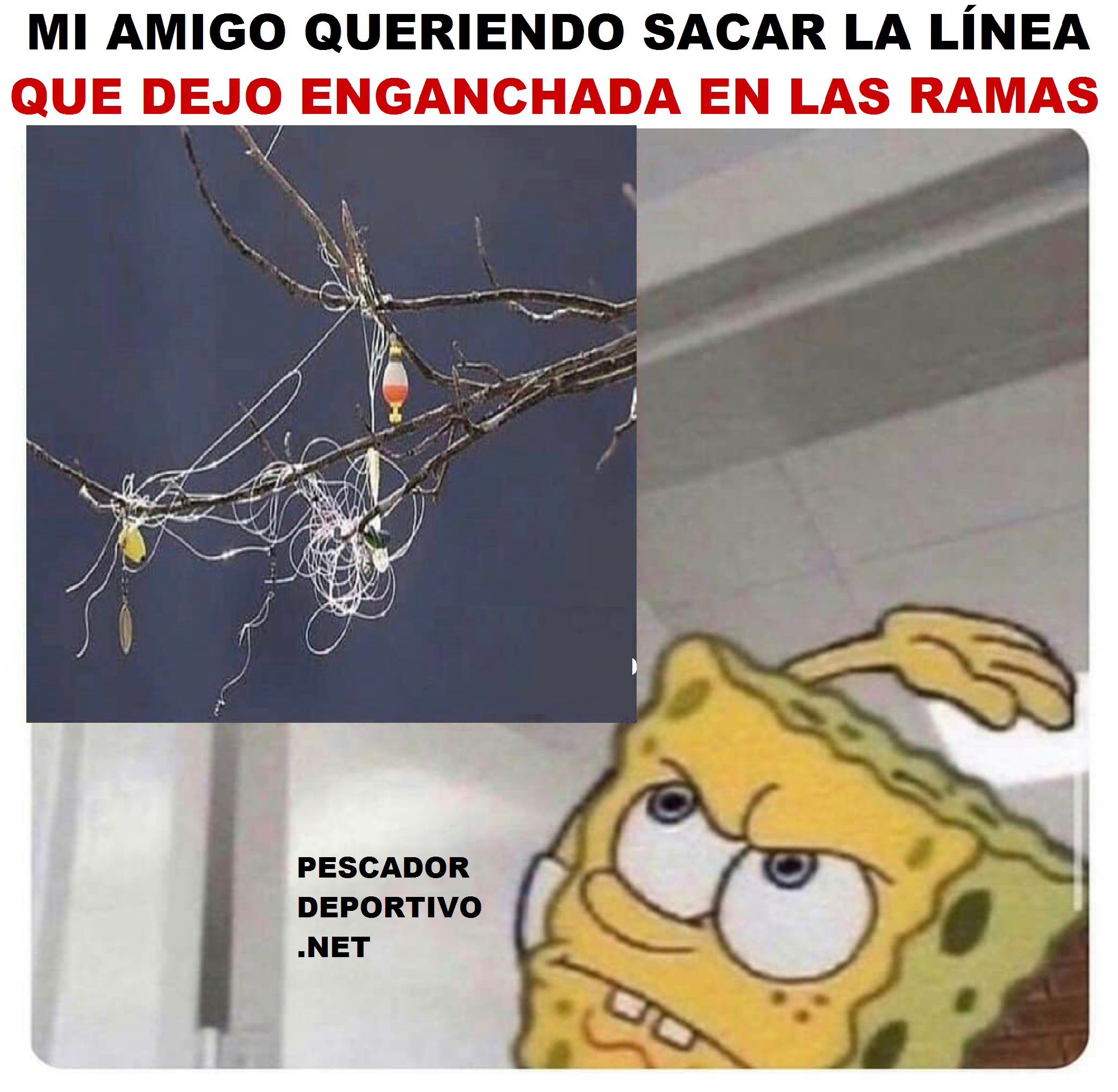 linea enganchada-1850955252414526954..png