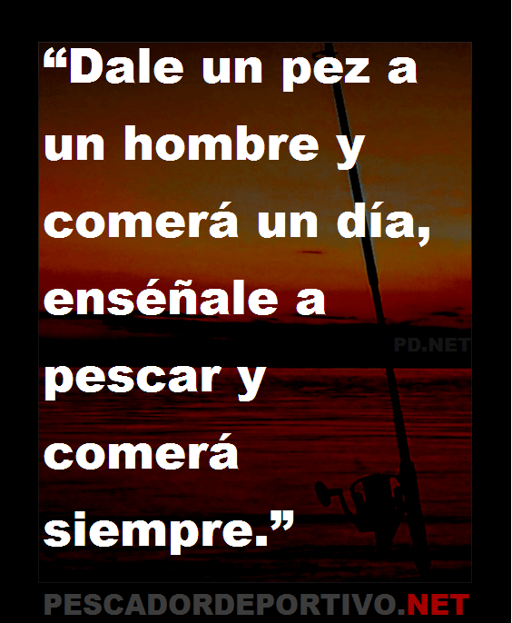 Frase 23