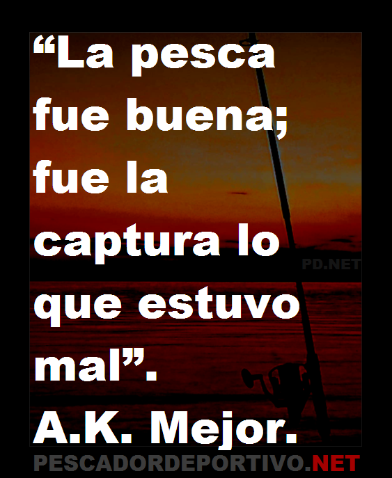Frase 81