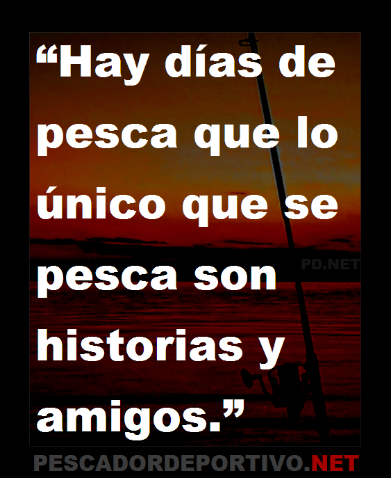 Frase 9
