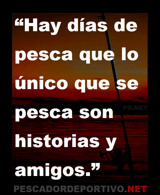 Frase 9