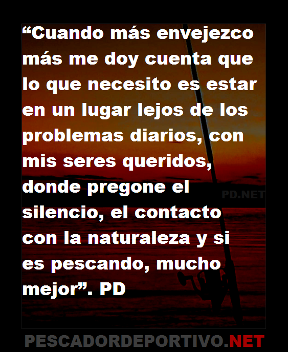 Frases 107
