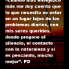 Frases 107