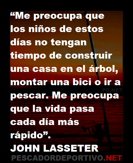 Frases 95