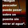 Frases 99