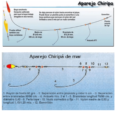 Chiripa