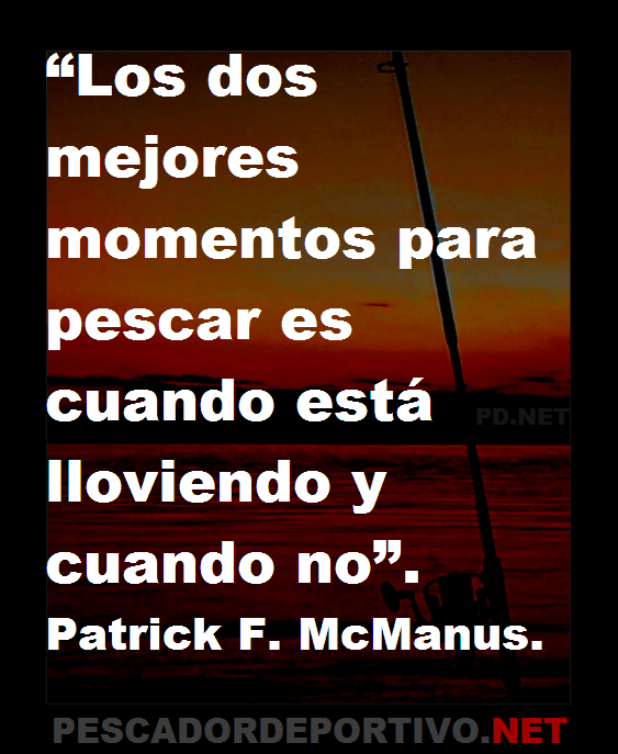 Frase 57