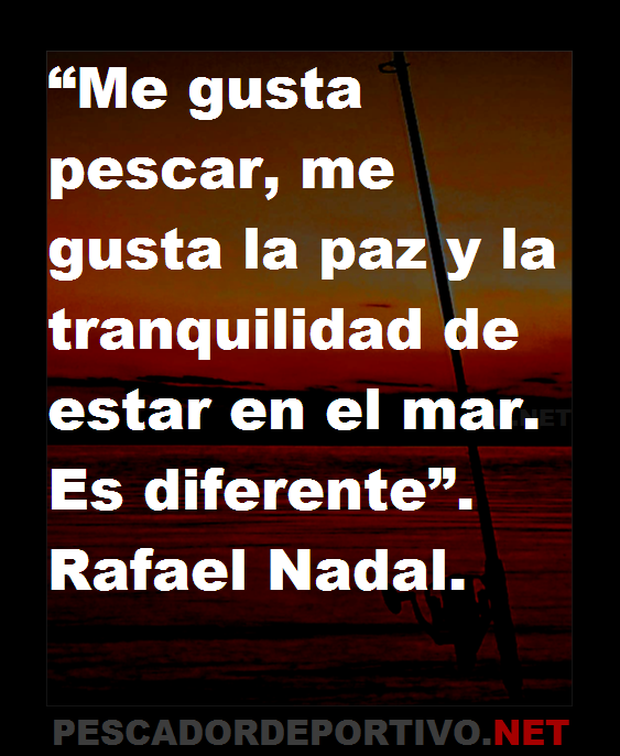 Frase 61