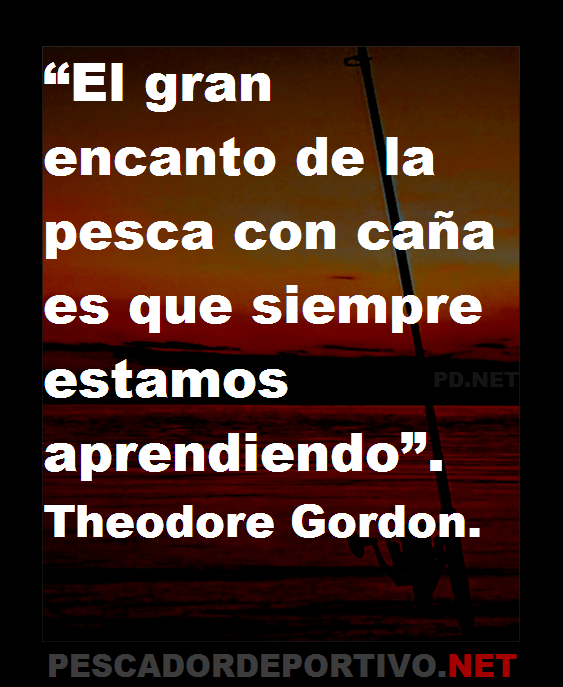 Frase 63